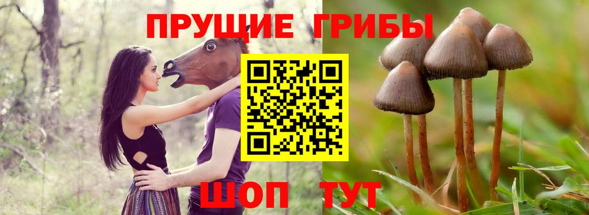 Галлюциногенные грибы мицелий  Вход с VPN  Строитель  хочу наркоту  Псилоцибиновые грибы Psilocybine cubensis 