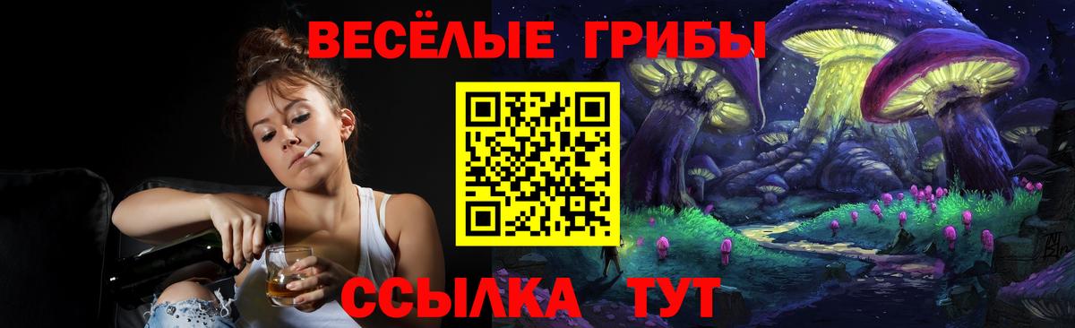 Псилоцибиновые грибы Psilocybine cubensis Строитель